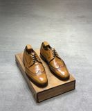  𝐌𝐈𝐒𝐎𝐏𝐄 41 