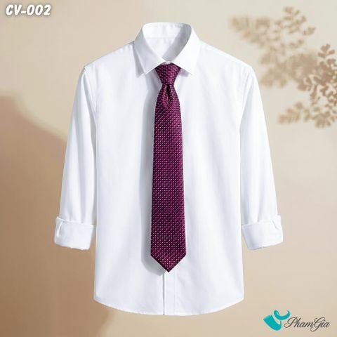 Cà Vạt Nam Hoạ Tiết Caro Màu Đỏ Mận Phối Xanh Navy (CV002)