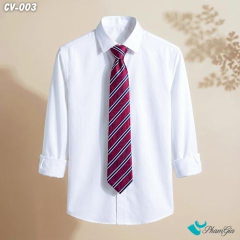 Cà Vạt Nam Hoạ Tiết Kẻ Sọc Chéo Màu Đỏ Rượu Phối Xanh Navy (CV003)