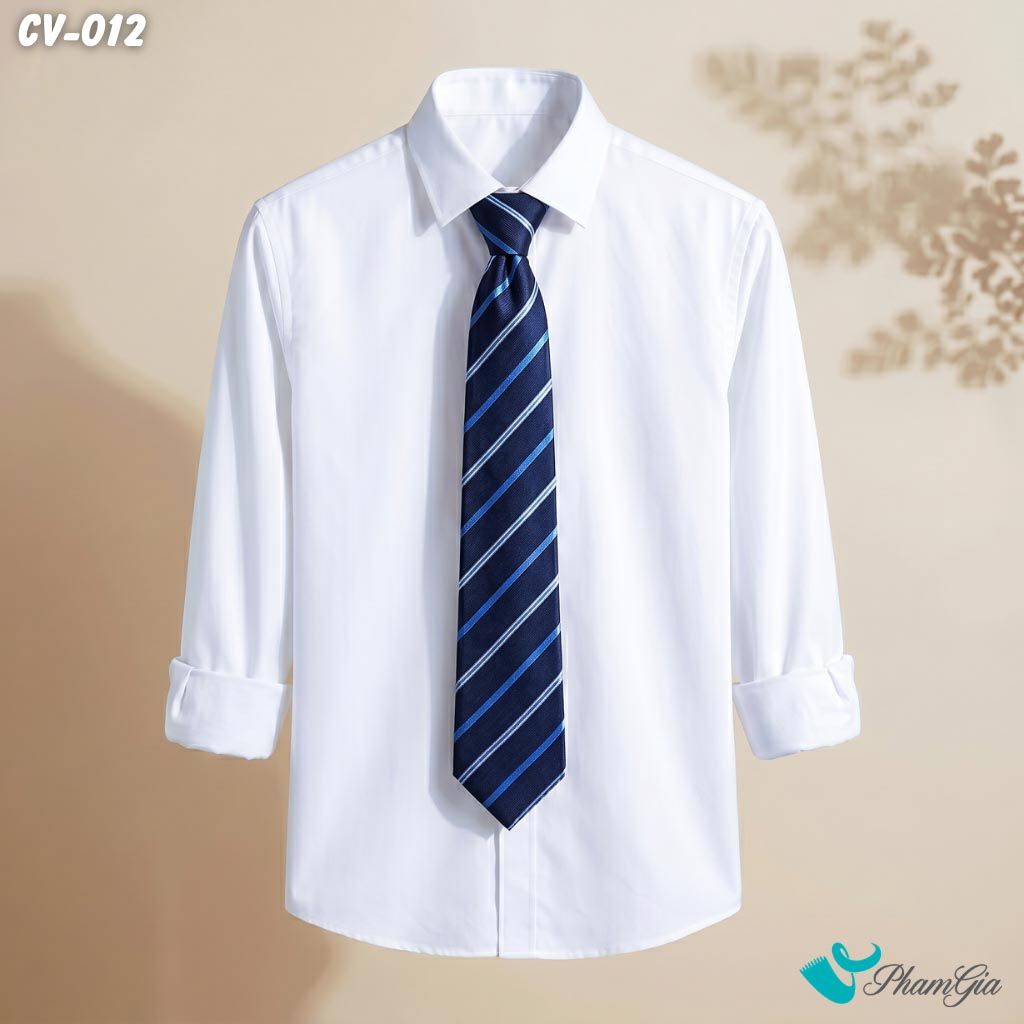 Cà Vạt Nam Hoạ Tiết Kẻ Sọc Chéo Màu Xanh Navy (CV012)