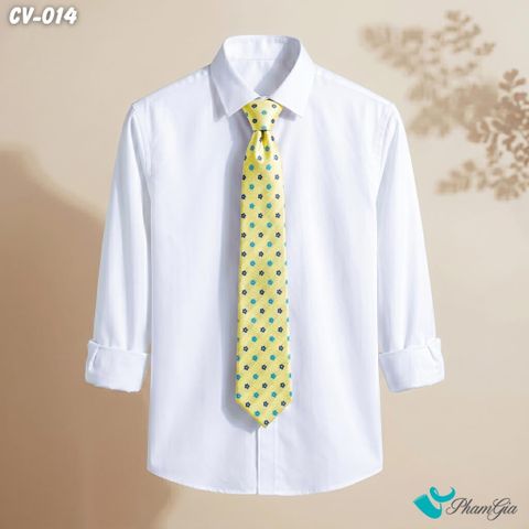 Cà Vạt Nam Hoạ Tiết Hoa Mai Nhỏ Phối Màu Vàng Kim (CV014)