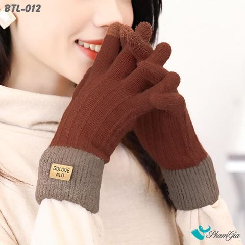 Cận Cảnh Găng Tay Len Lót Lông Hiện Đại Màu Nâu