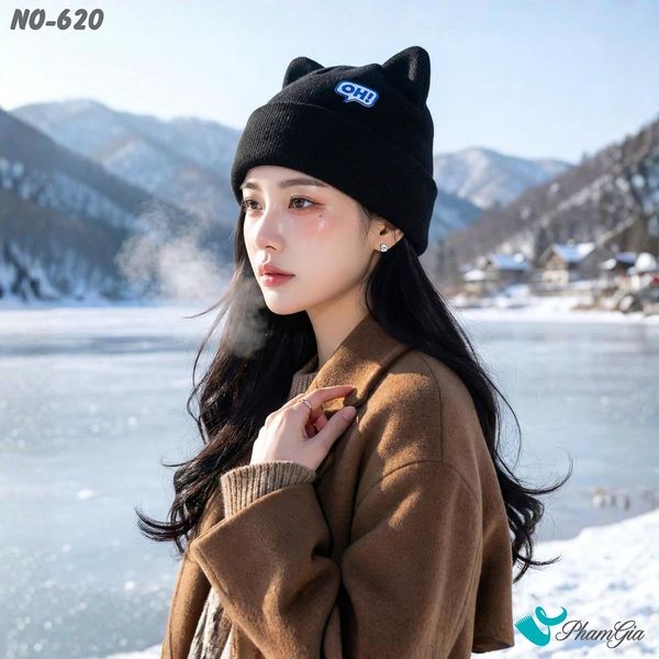 Nón Ống Thời Trang Phong Cách Tai Gấu Đáng Yêu Màu Đen (NO620)