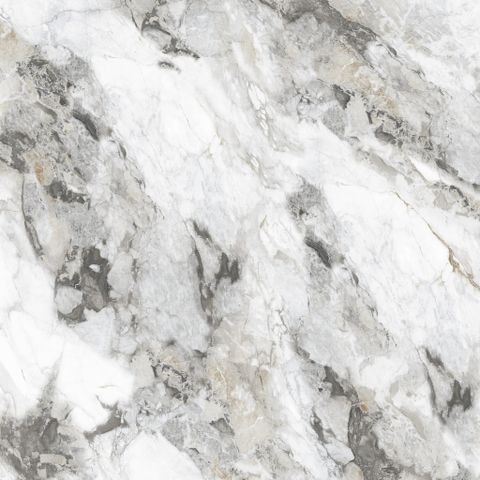 G10PR008