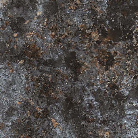 G10PR009