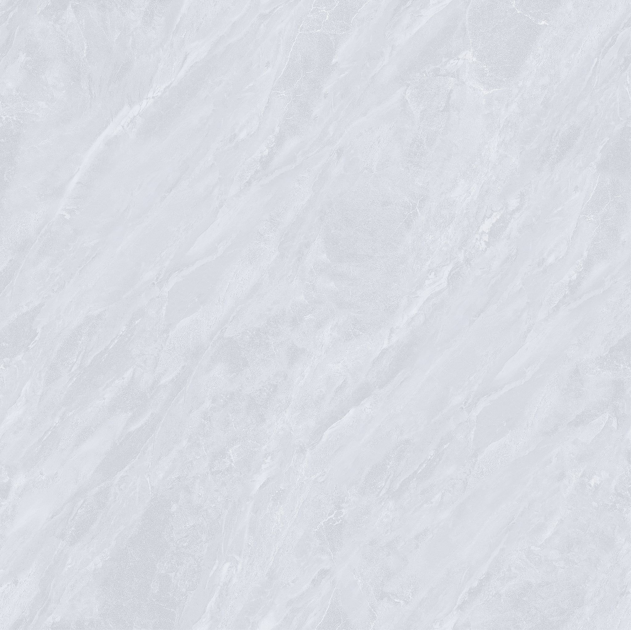 TPN88041