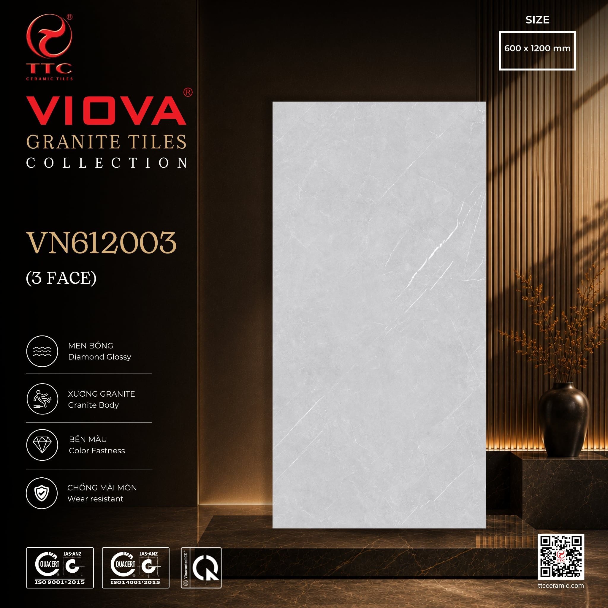 VN612003