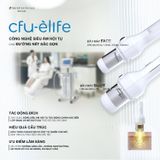  Liệu trình Láb V-Shape 
