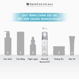  Meta Cell Renewal B3 