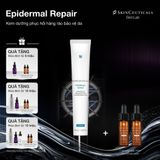  Epidermal Repair 