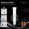  Epidermal Repair 