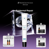  Epidermal Repair 