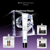  Epidermal Repair 