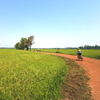  NORTHERN THAILAND CYCLING 