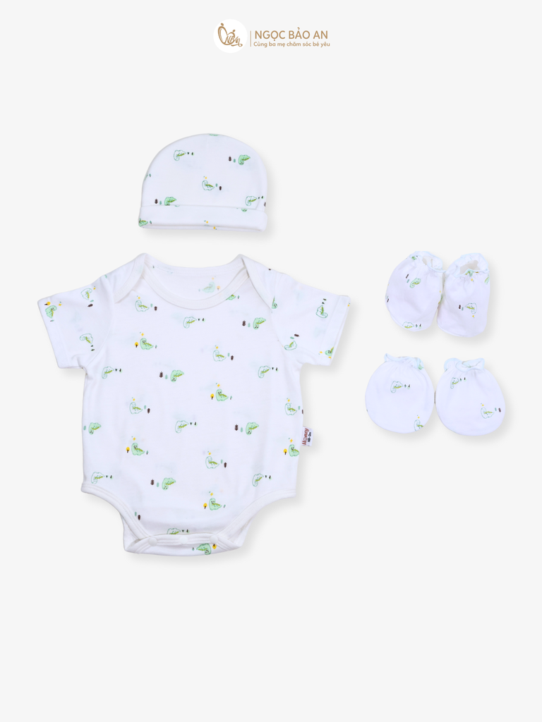 Combo Bodysuit Honey tay ngắn cho bé (Thun Khủng Long ngọc, Nb-3m)