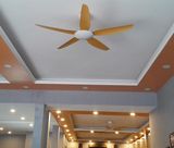  Quạt trần 5 cánh QT049 
