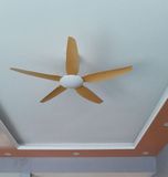 Quạt trần 5 cánh QT049 