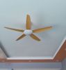 Quạt trần 5 cánh QT049 