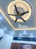  Quạt trần đèn 5 cánh thép QTD017 