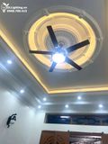  Quạt trần đèn 5 cánh thép QTD017 