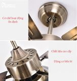  Quạt trần đèn 5 cánh thép QTD017 