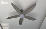  Quạt trần đèn QTD001 