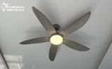  Quạt trần đèn QTD001 