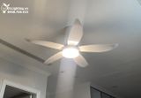  Quạt trần đèn QTD001A 