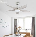  Quạt trần đèn QTD001 