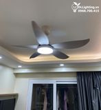  Quạt trần đèn QTD001 