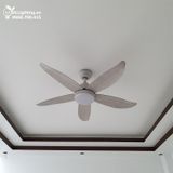  Quạt trần đèn QTD001 