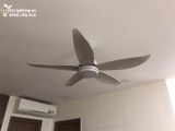  Quạt trần đèn QTD001 
