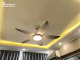  Quạt trần đèn QTD001 