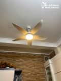  Quạt trần đèn QTD001A 