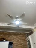  Quạt trần đèn QTD001A 