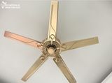  Quạt trần 5 cánh thép QT029 