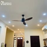  Quạt trần 3 cánh không đèn QT031 