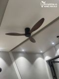  Quạt trần 3 cánh cổ ngắn QT033 