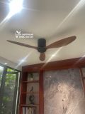  Quạt trần 3 cánh cổ ngắn QT033 