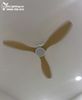  Quạt trần 3 cánh cổ ngắn QT033A 