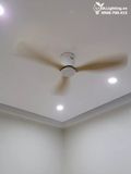  Quạt trần 3 cánh cổ ngắn QT033A 