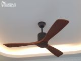  Quạt trần cánh gỗ QT035 