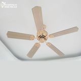  Quạt trần 5 cánh gỗ QT044 