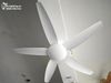  Quạt trần 5 cánh không đèn QT048 