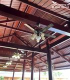  Quạt trần đèn tân cổ điển QTCD002 
