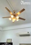  Quạt trần đèn tân cổ điển QTCD003 