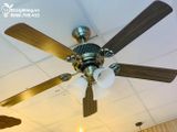  Quạt trần tân cổ điển QTCD006 