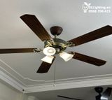  Quạt trần tân cổ điển QTCD006 
