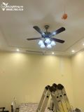  Quạt trần đèn tân cổ điển QTCD010 