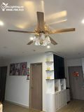  Quạt trần đèn tân cổ điển QTCD012 